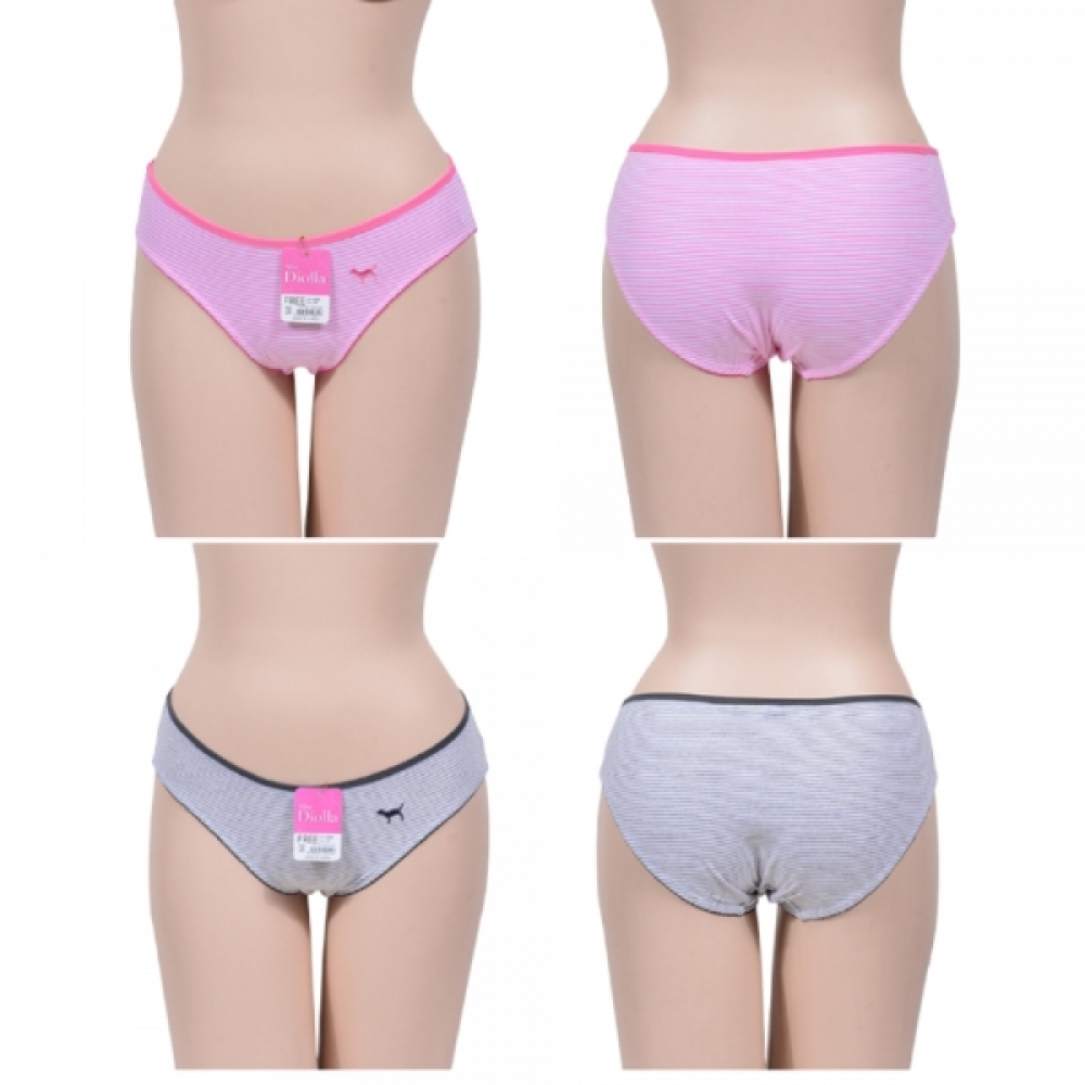 줄무늬 면스판 강아지자수 여학생팬티