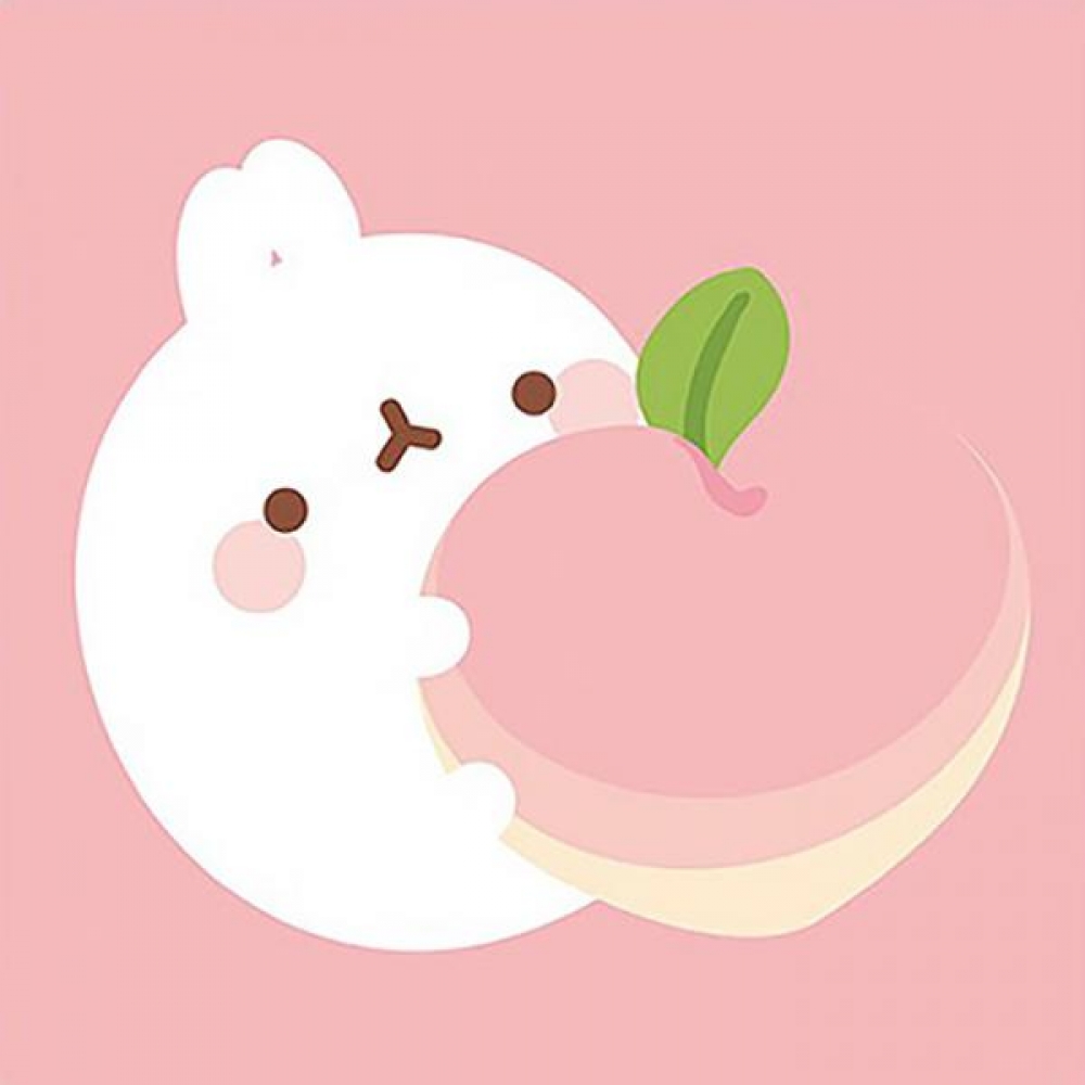 몰랑 복숭아 (패브릭) 보석십자수 액자세트 15x15