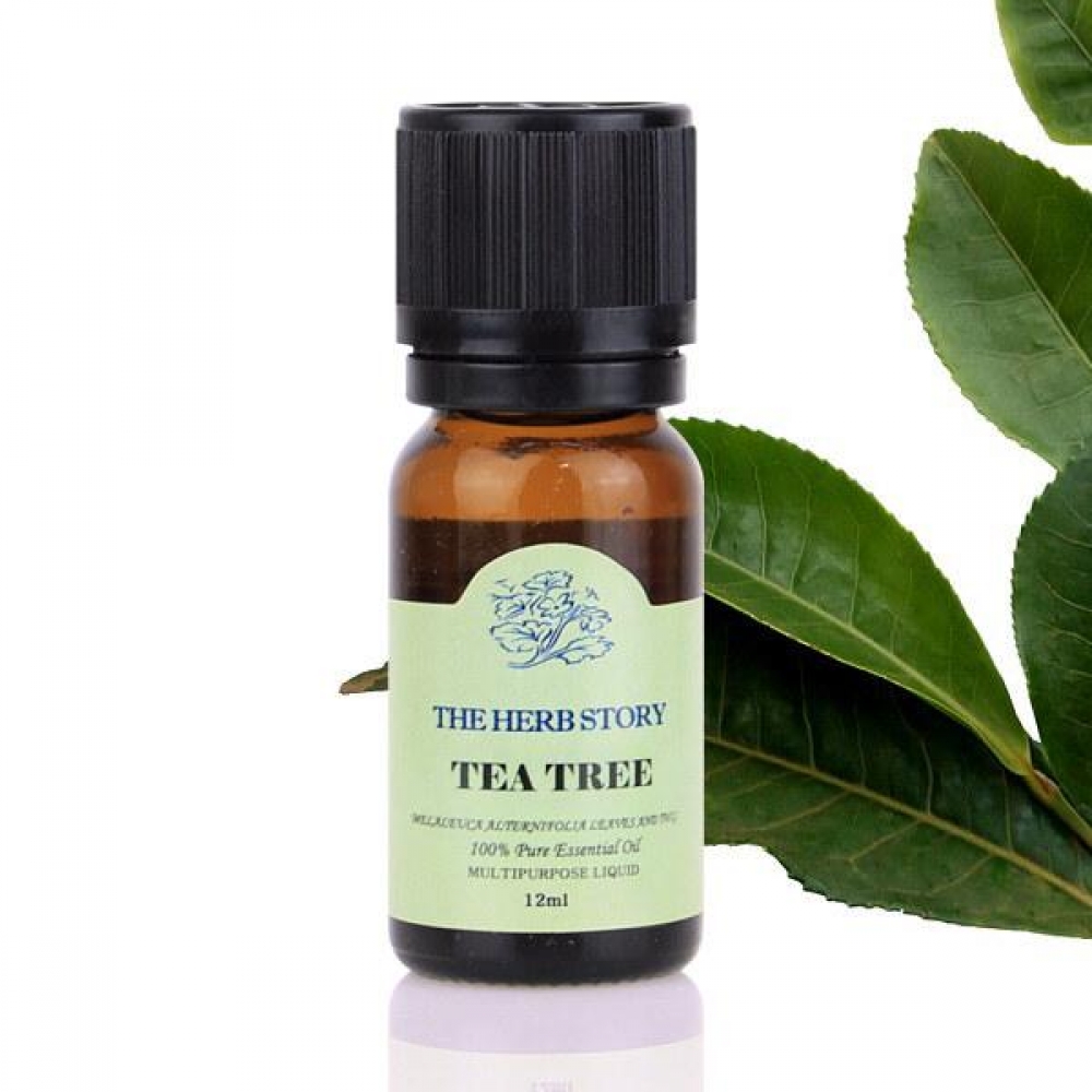 티트리 아로마 에센셜 오일 12ml