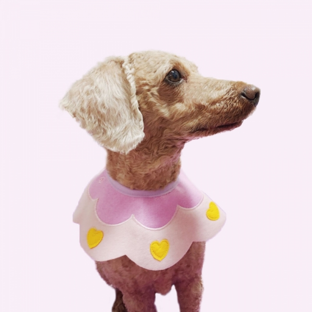 반려동물 턱받침 B 소