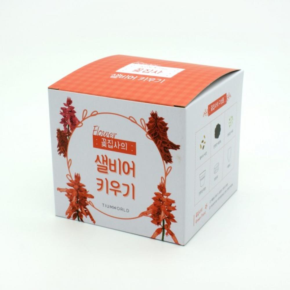 꽃집사 샐비어