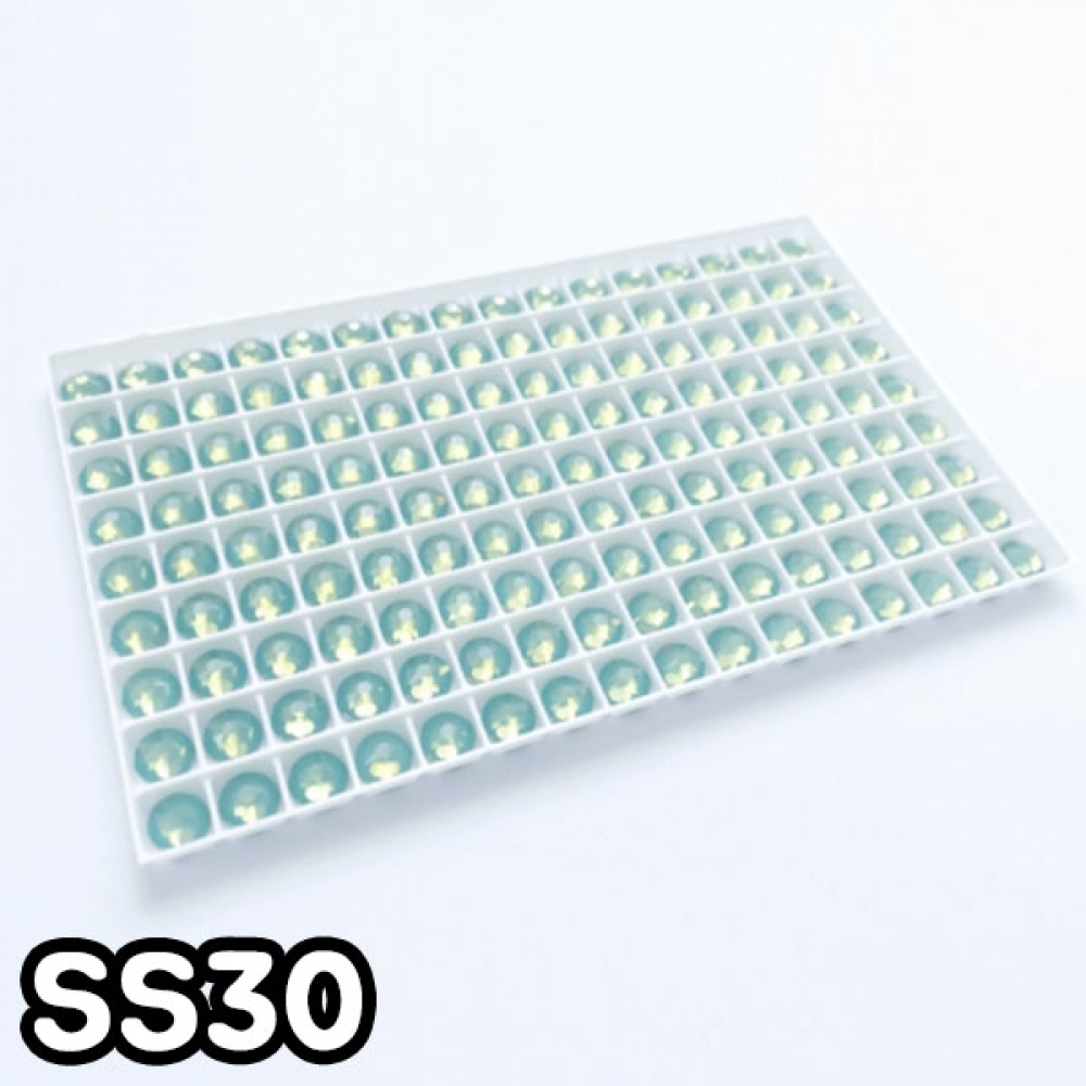 GGD 2088 평스톤 - 퍼시픽오팔 SS30 10개