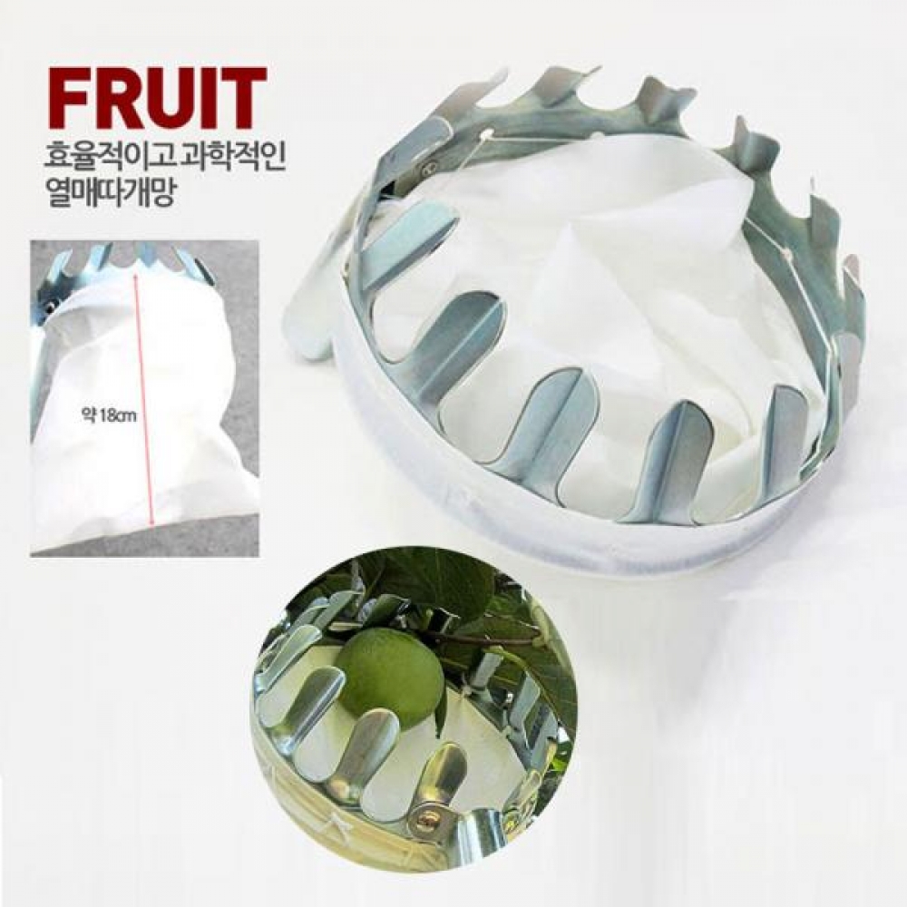 망속으로 쏙 감따기 수확철 열매따기 망