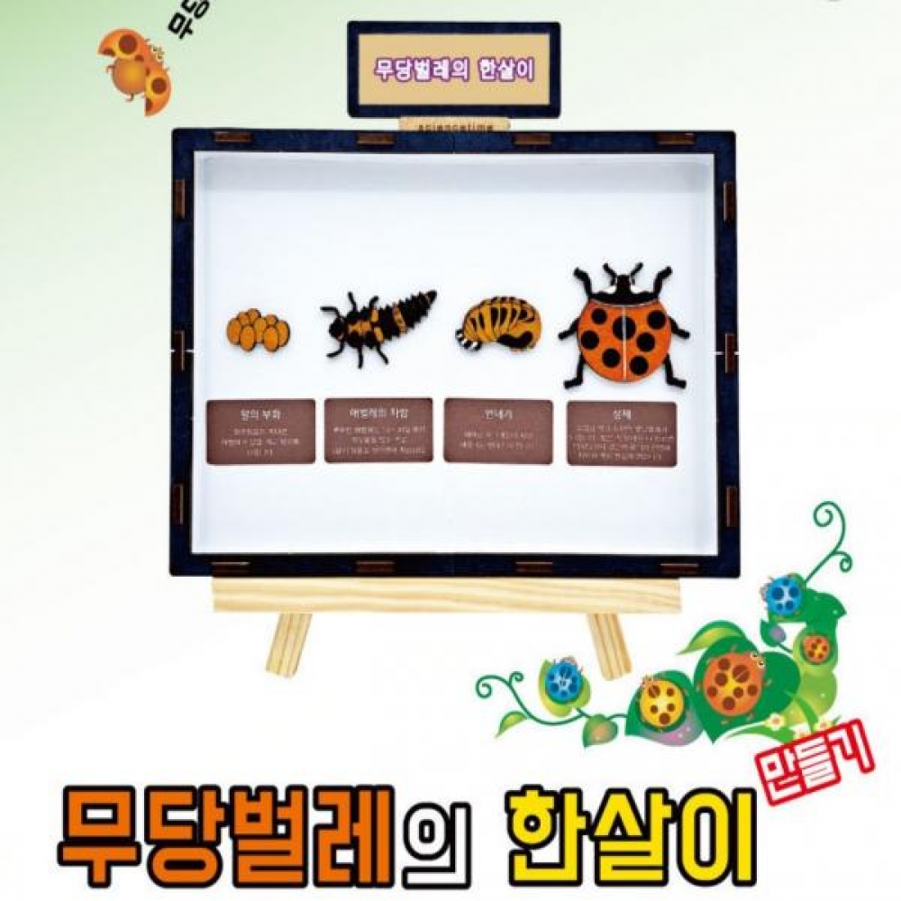 무당벌레의 한살이 만들기학습용 브로마이드 제공