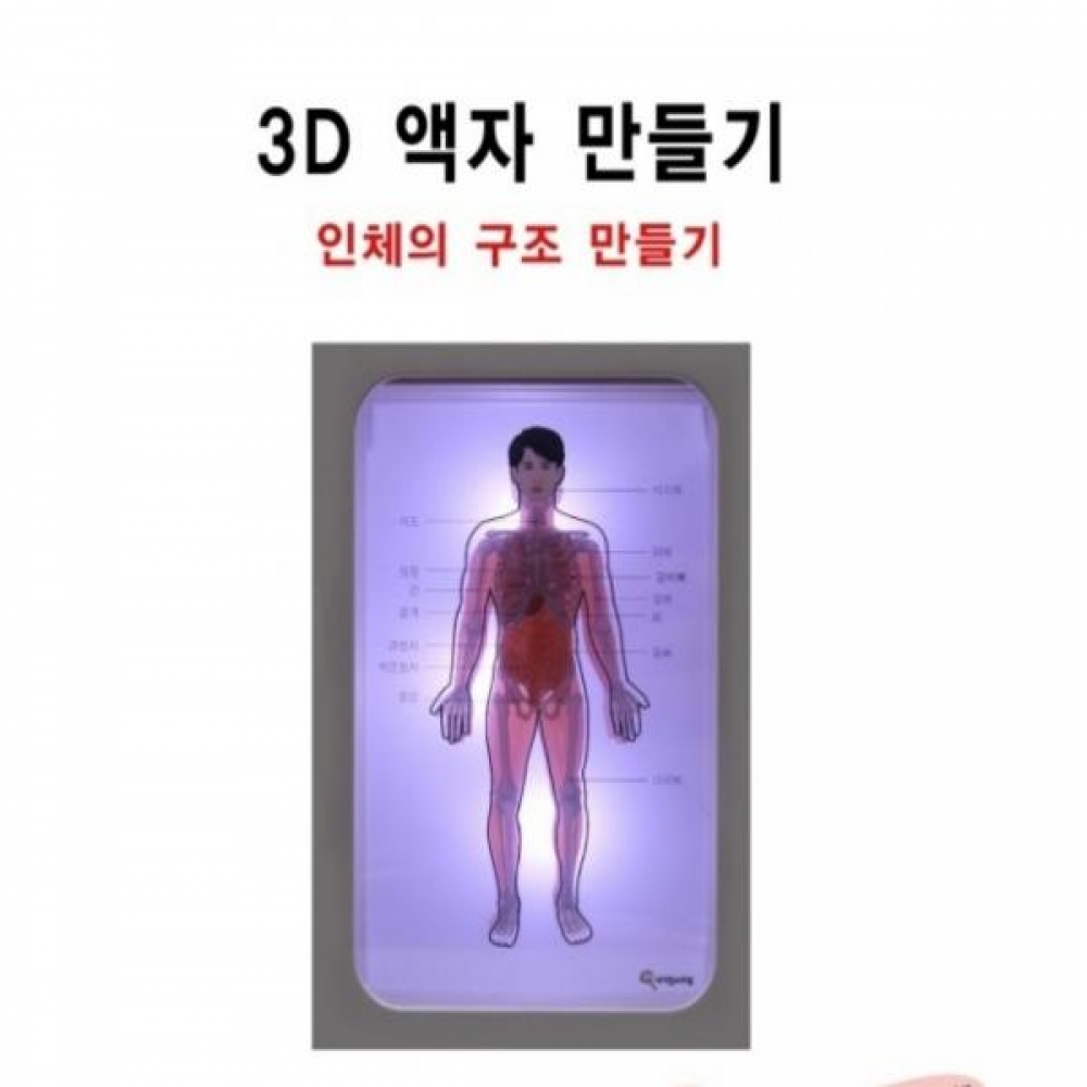 3D 액자 만들기 (인체 구조)
