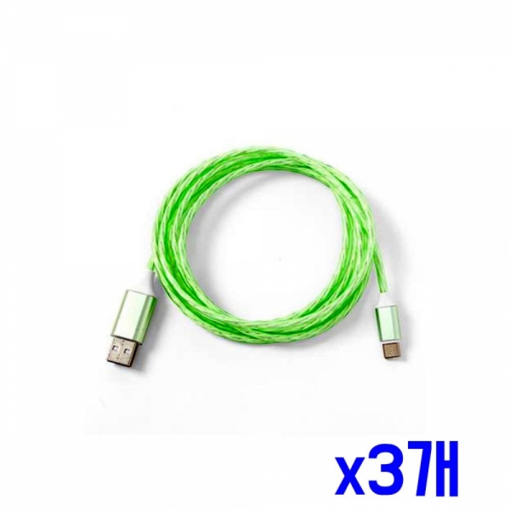LED 고속충전 C타입 케이블(2M) (그린) x3개