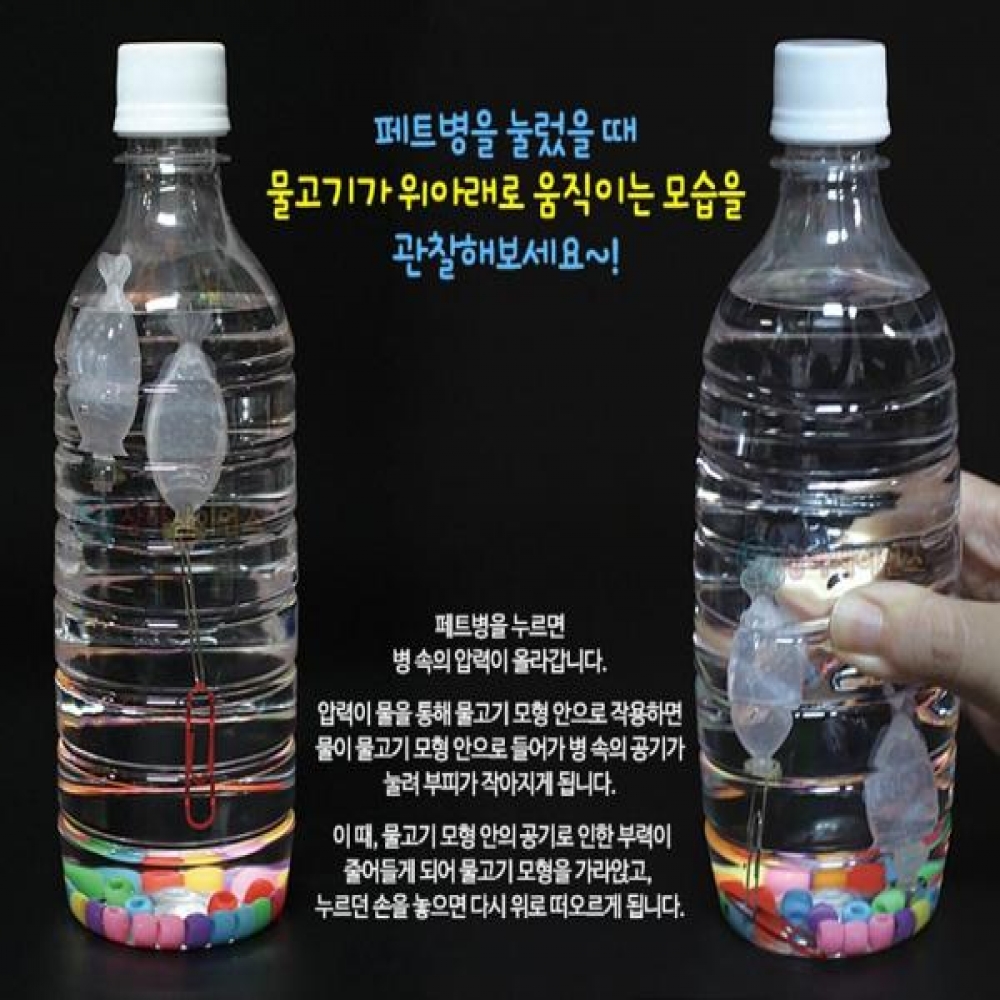 (SA) 오르락 내리락 물고기 잠수함 (1인)