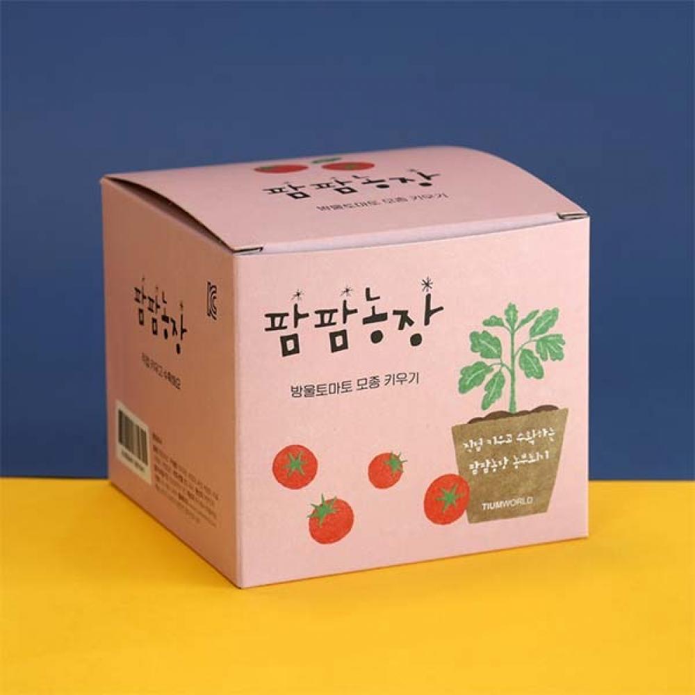 어린이집 식물키트 선물 팜팜농장 방울토마토 모종키우기