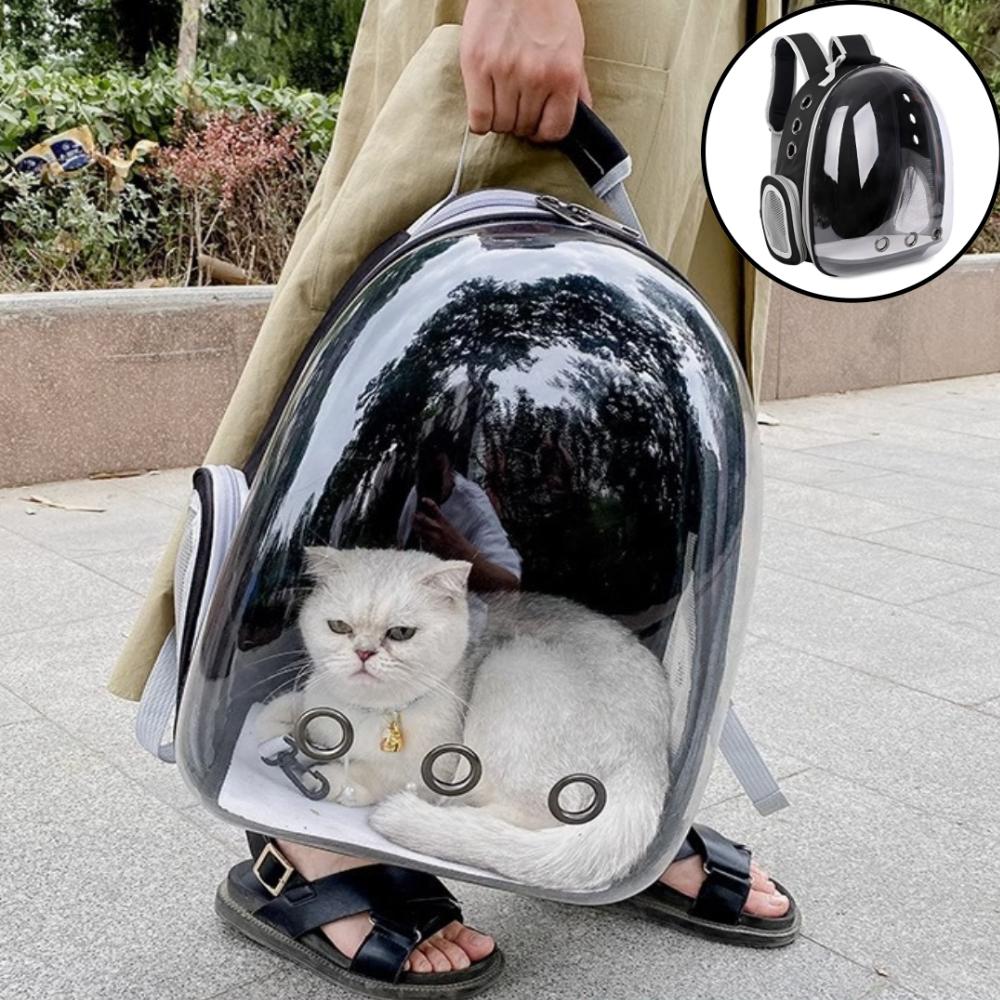 반려동물 투명 이동가방 강아지 고양이 백팩 캐리어