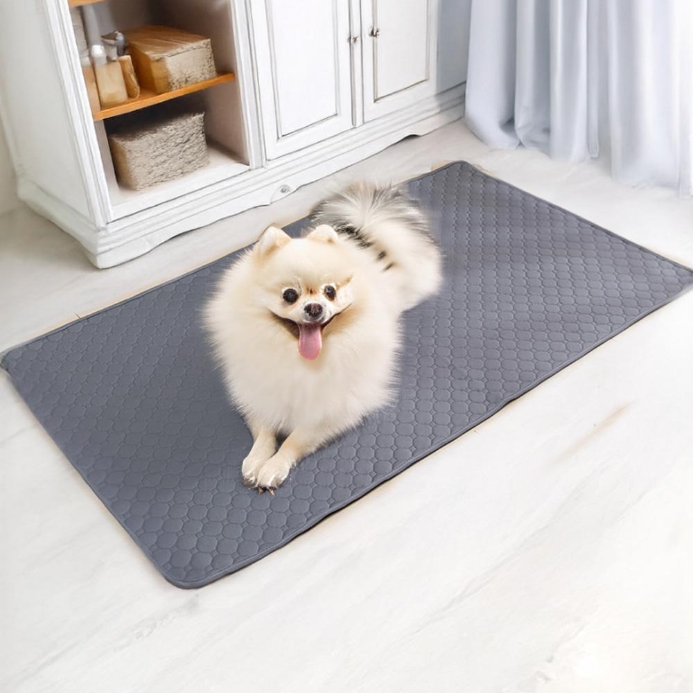 빨아쓰는 애견패드 70X50 미끄럼방지 강아지 고양이 반려동물 배변패드