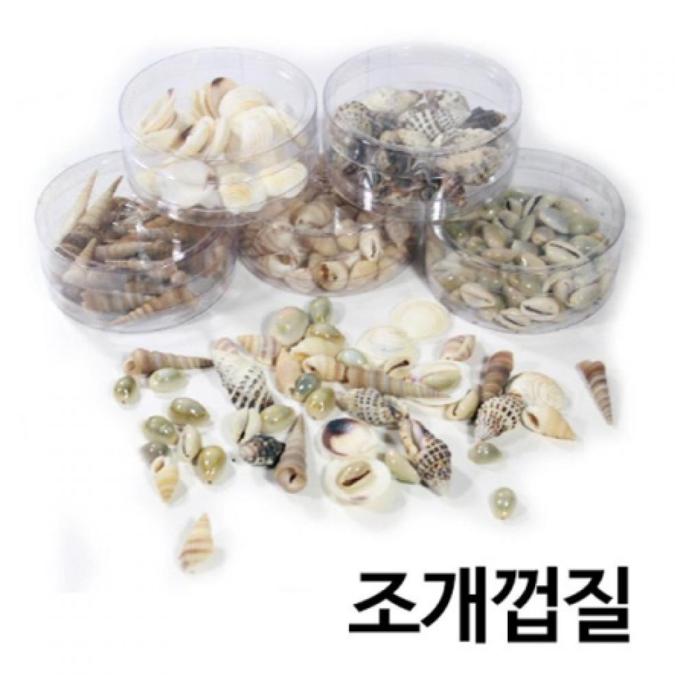 글로벌이지 조개껍질 (5개입/1팩)