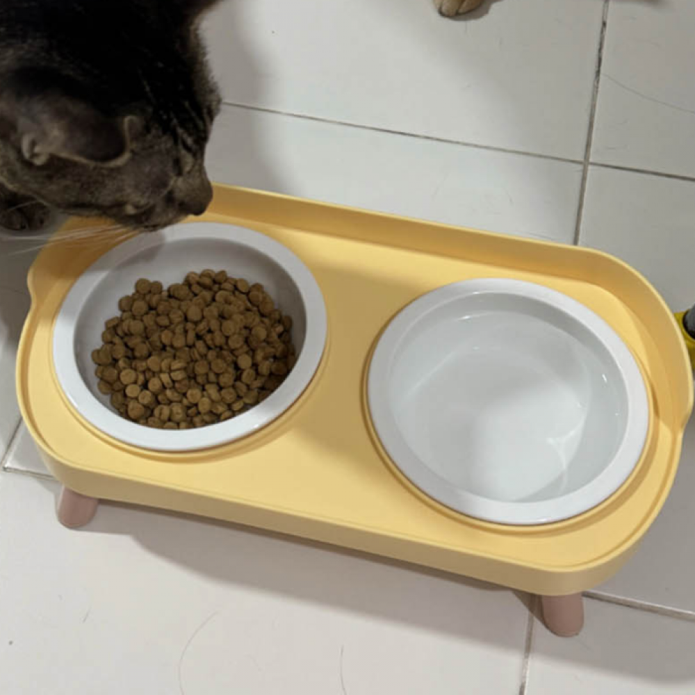 애완견 2구 그릇 미끄럼방지 사료 식기 급식 강아지 고양이 보올
