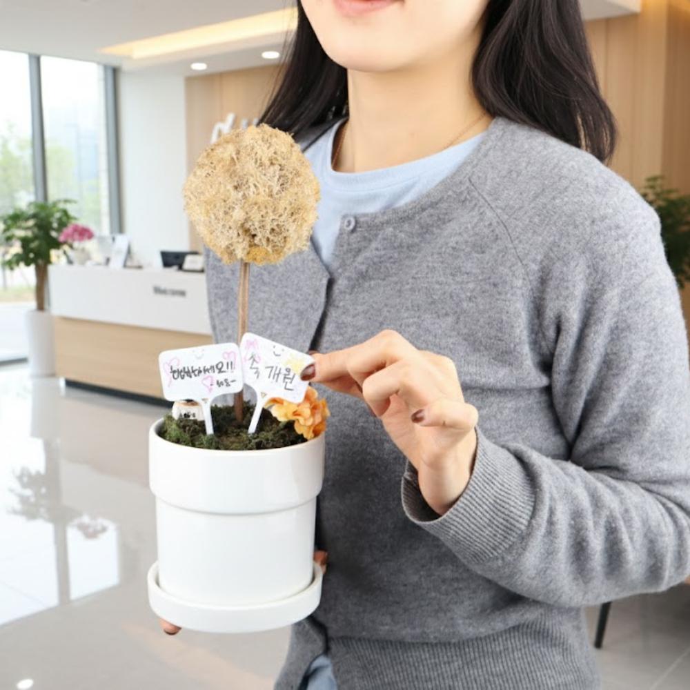 화분픽 식물 명찰 라벨 나무 화분 이름표 원예 네임택