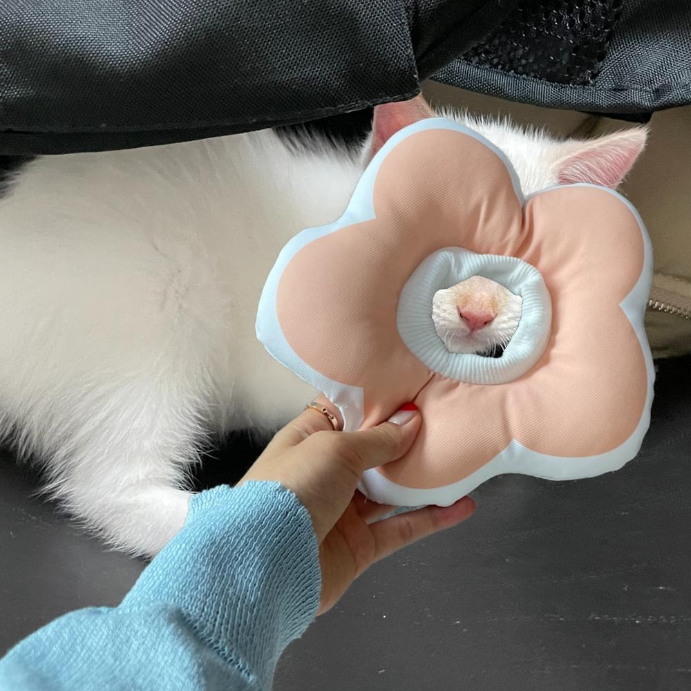 꽃쿠션 넥카라 강아지 고양이 목쿠션 보호대 퍼플