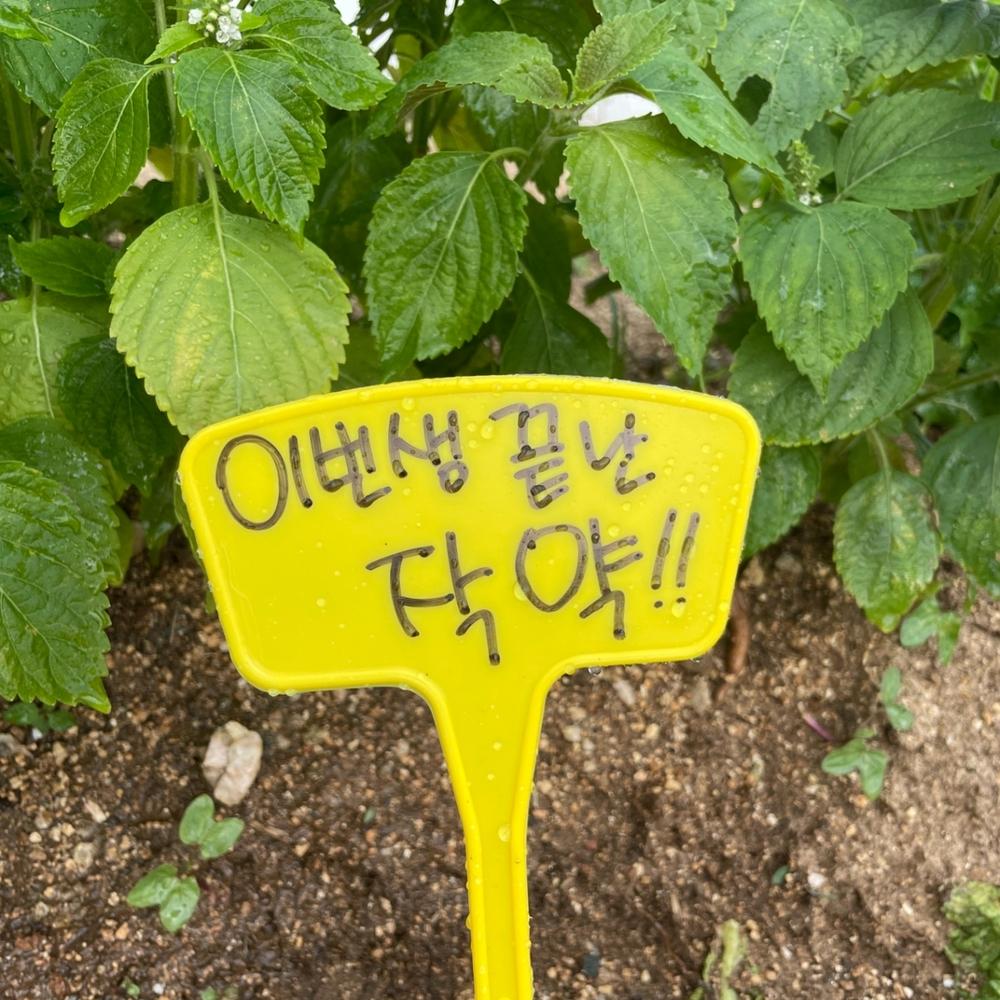 식물이름표 라벨 태그 수목 화분네임택 27cm