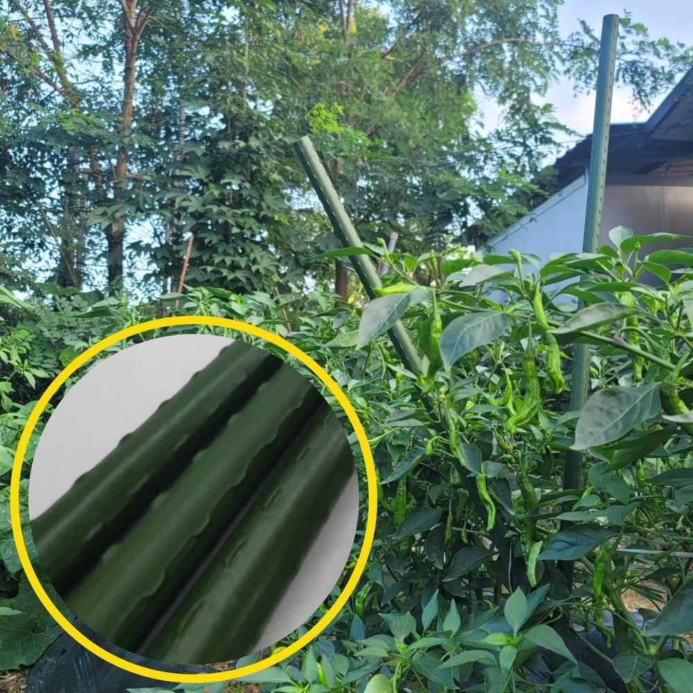 지지대 식물 화초 오이 토마토 지주대 화초지지대